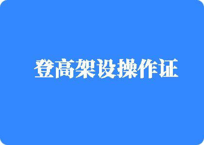 大鸡吧日死我登高架设操作证